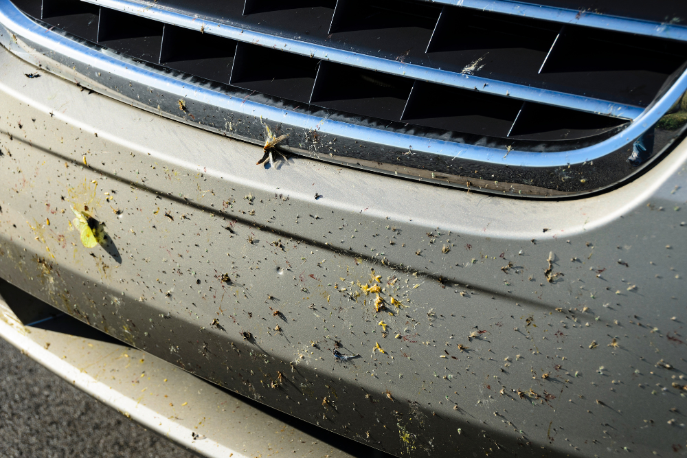 Bug Removal